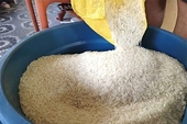 Philippines starts safeguard probe on imported rice