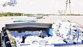 Measures to expand rice consumption markets