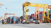 Adjusting administrative procedures to support export businesses