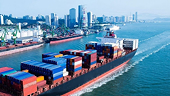 Statistics on anti-dumping case against imports conducted by Vietnam up to 31 Dec 2025