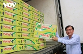 Fruit prices plunge despite strong export growth