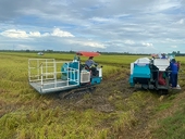 Relaxing rice export restrictions: Businesses that haven't exported yet praise the measure
