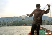 The US continues to import crab from Viet Nam