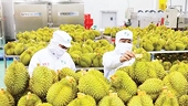 Increase control over the agricultural supply chain