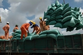 The Import-Export Department issued Document No. 500 regarding China's Order 280