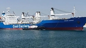 With disrupted cold storage transportation, global grape and berry exports face significant pressure