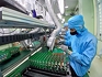 Viet Nam’s hi-tech exports surpass 50% as startup ranking hits record