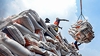 Local authorities to directly issue fragrant rice export certificates from July 2026