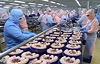 Rising global shipping costs put pressure on Viet Nam’s seafood exporters