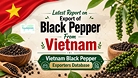 Latest Report on Export of Black Pepper From Viet Nam: Viet Nam Black Pepper Exporters Database