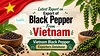 Latest Report on Export of Black Pepper From Viet Nam: Viet Nam Black Pepper Exporters Database