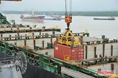 Leveraging FTAs to drive breakthroughs in import-export activities