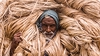 Protecting Bangladesh’s Golden Fiber: A Strategic Approach To Counter Anti-Dumping Duties – OpEd
